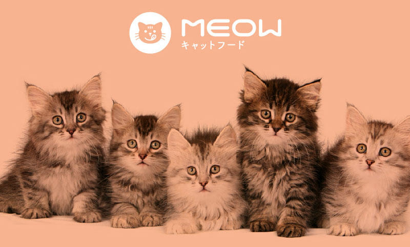 宠物食品猫粮品牌vis设计