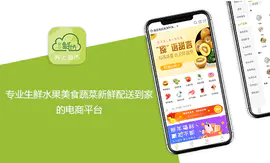 生鲜app开发水果美食蔬菜配送到家的<hl>电商服务</hl>平台京东到家