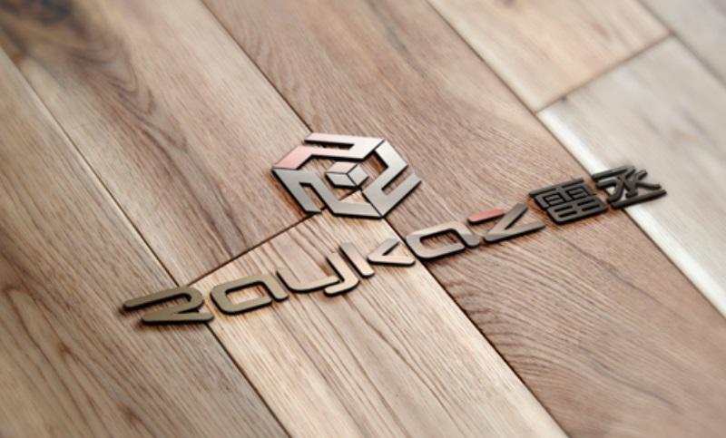 电子科技数码产品中英文品牌起名取名-RAYKAZ
