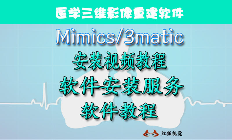 医学三维影像重建软件MIMICS软件安装指导3维影像重建服务